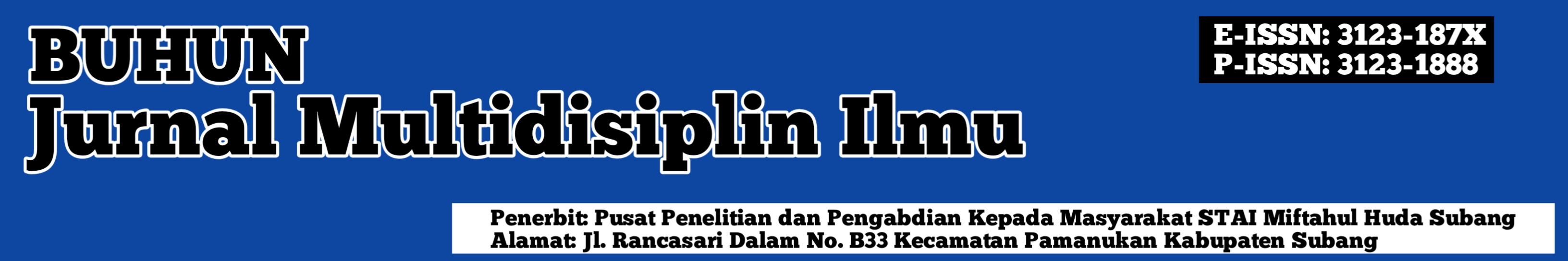 Our editor speaking at the PKP conference